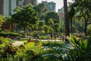 Comment la nature et les espaces verts influencent-ils la qualité de vie en milieu urbain ?